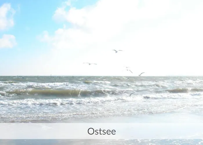 Lägenhet Baltic Sea Deck 29 Mit Meerblick